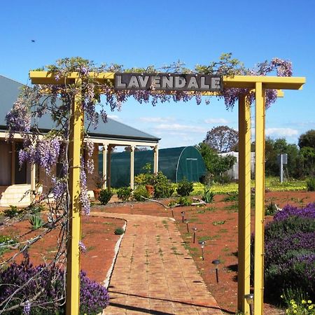 Lavendale Country Retreat Villa York Exterior photo